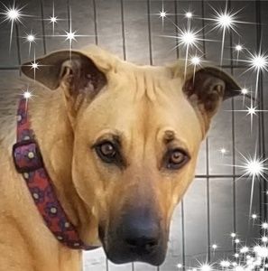 Meet your Posher, Melany